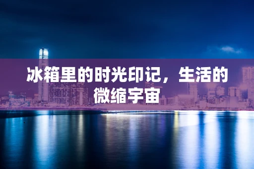 冰箱里的时光印记，生活的微缩宇宙