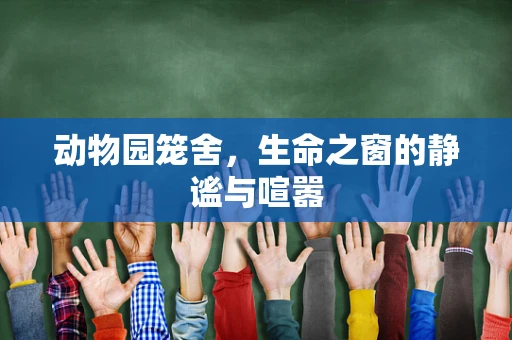 动物园笼舍，生命之窗的静谧与喧嚣