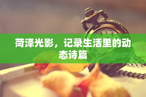 菏泽光影，记录生活里的动态诗篇