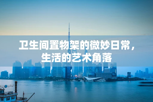 卫生间置物架的微妙日常，生活的艺术角落