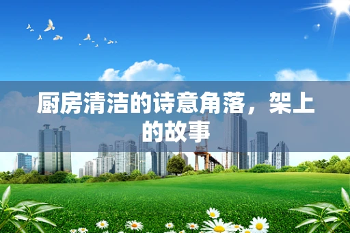 厨房清洁的诗意角落，架上的故事