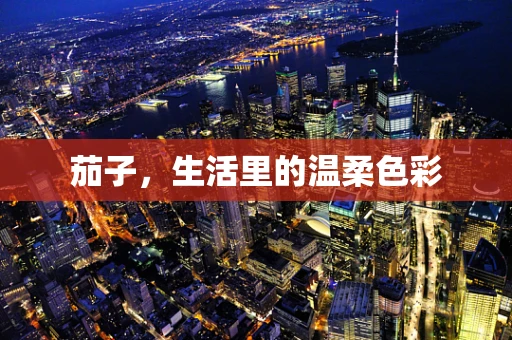 茄子，生活里的温柔色彩