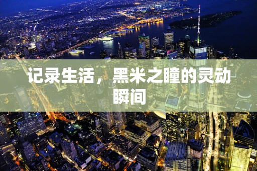 记录生活，黑米之瞳的灵动瞬间