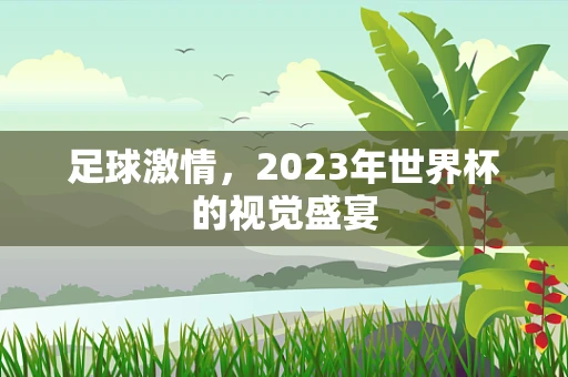 足球激情，2023年世界杯的视觉盛宴