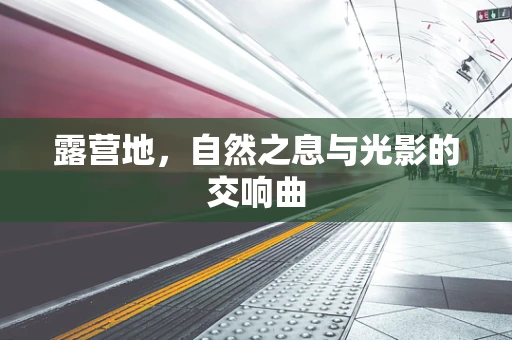 露营地，自然之息与光影的交响曲