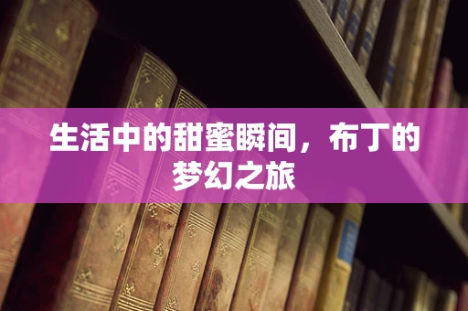 生活中的甜蜜瞬间，布丁的梦幻之旅