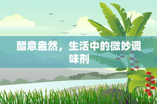 醋意盎然，生活中的微妙调味剂