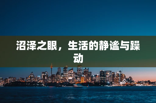 沼泽之眼，生活的静谧与躁动