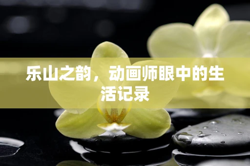 乐山之韵，动画师眼中的生活记录
