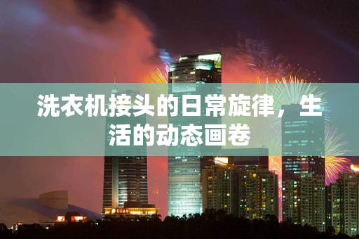 洗衣机接头的日常旋律，生活的动态画卷