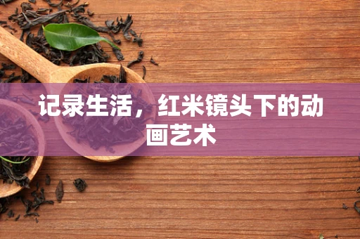 记录生活，红米镜头下的动画艺术