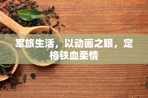 军旅生活，以动画之眼，定格铁血柔情
