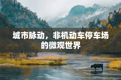 城市脉动，非机动车停车场的微观世界