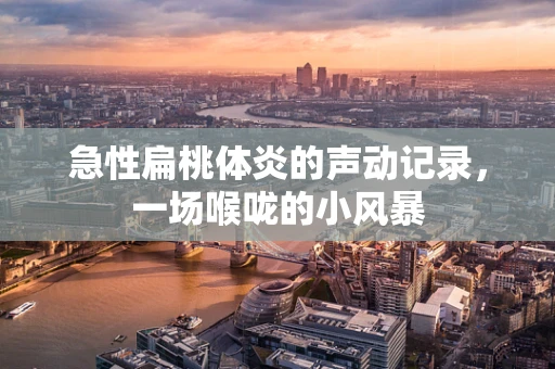 急性扁桃体炎的声动记录，一场喉咙的小风暴