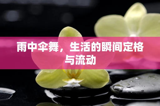 雨中伞舞，生活的瞬间定格与流动