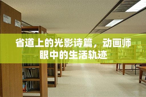 省道上的光影诗篇，动画师眼中的生活轨迹