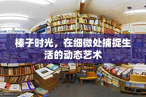 榛子时光，在细微处捕捉生活的动态艺术