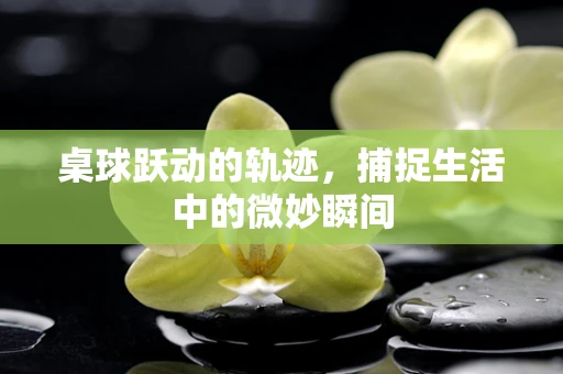 桌球跃动的轨迹，捕捉生活中的微妙瞬间