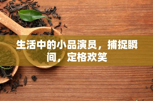 生活中的小品演员，捕捉瞬间，定格欢笑