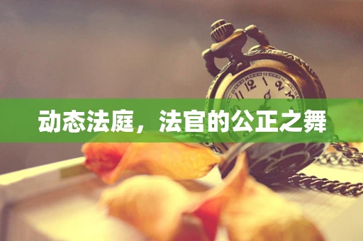 动态法庭，法官的公正之舞