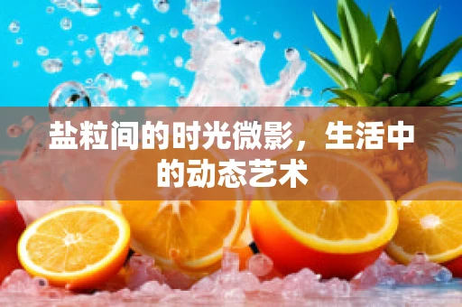 盐粒间的时光微影，生活中的动态艺术