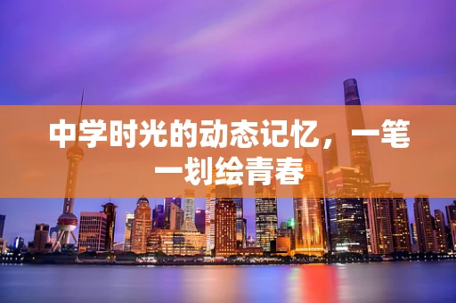 中学时光的动态记忆，一笔一划绘青春