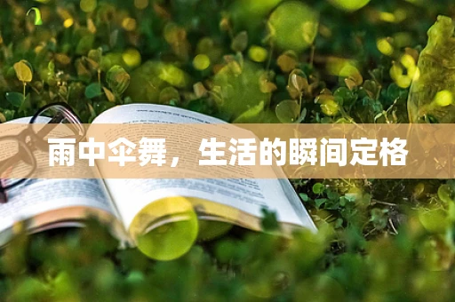 雨中伞舞，生活的瞬间定格