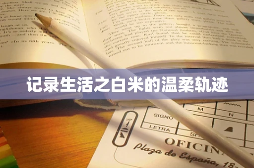 记录生活之白米的温柔轨迹