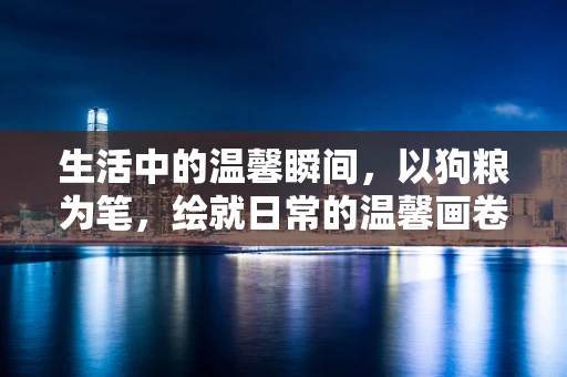 生活中的温馨瞬间，以狗粮为笔，绘就日常的温馨画卷