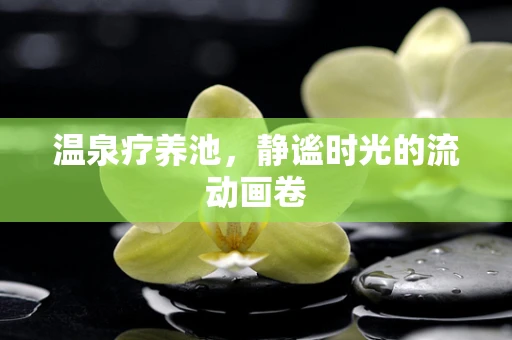 温泉疗养池，静谧时光的流动画卷