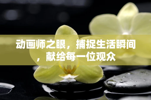 动画师之眼，捕捉生活瞬间，献给每一位观众