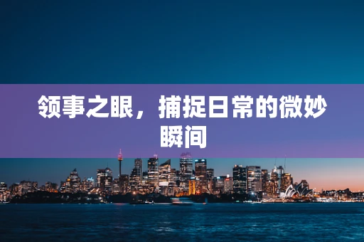 领事之眼，捕捉日常的微妙瞬间