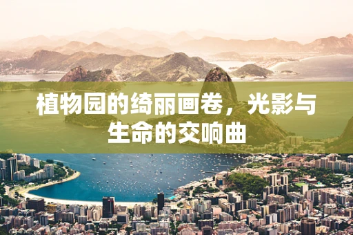 植物园的绮丽画卷，光影与生命的交响曲