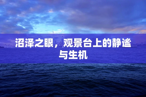 沼泽之眼，观景台上的静谧与生机
