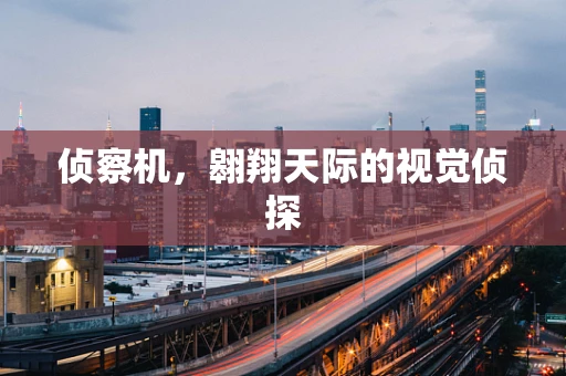 侦察机，翱翔天际的视觉侦探