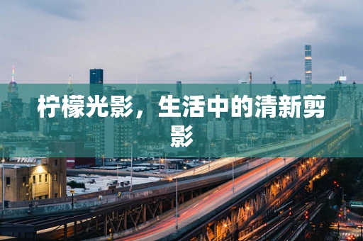 柠檬光影，生活中的清新剪影