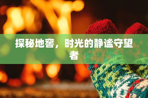 探秘地窖，时光的静谧守望者