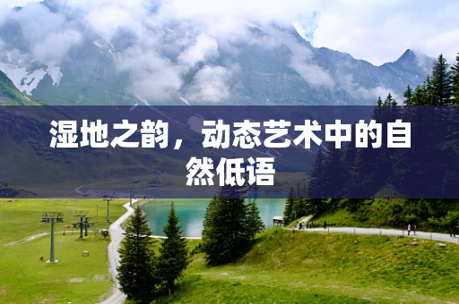湿地之韵，动态艺术中的自然低语