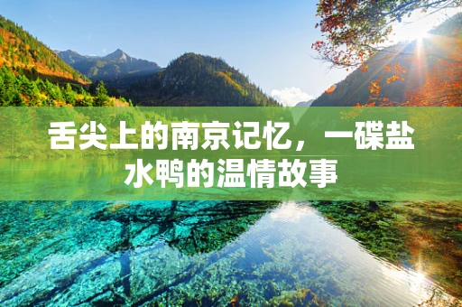 舌尖上的南京记忆，一碟盐水鸭的温情故事