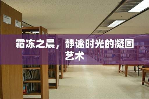 霜冻之晨，静谧时光的凝固艺术