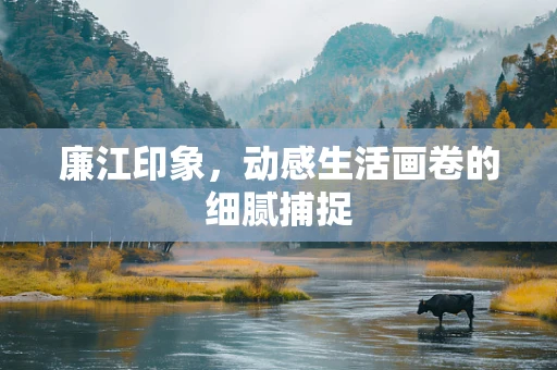 廉江印象，动感生活画卷的细腻捕捉