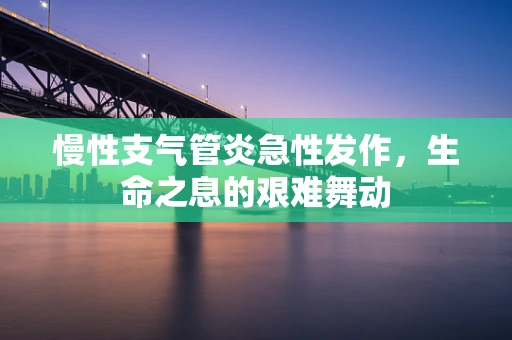 慢性支气管炎急性发作，生命之息的艰难舞动