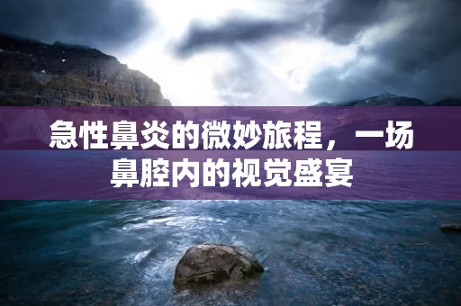 急性鼻炎的微妙旅程，一场鼻腔内的视觉盛宴