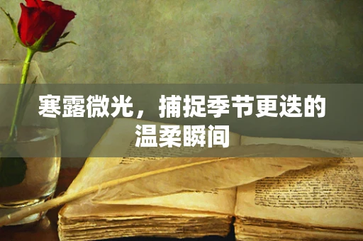 寒露微光，捕捉季节更迭的温柔瞬间