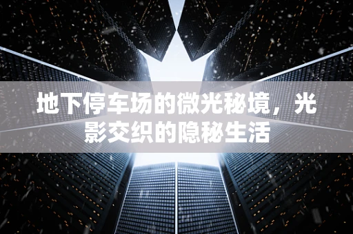 地下停车场的微光秘境，光影交织的隐秘生活