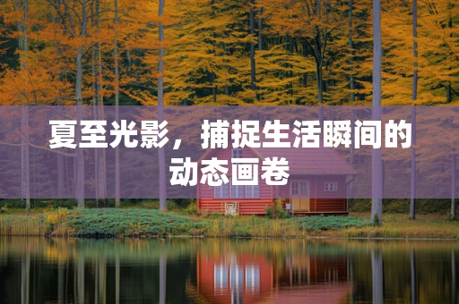 夏至光影，捕捉生活瞬间的动态画卷