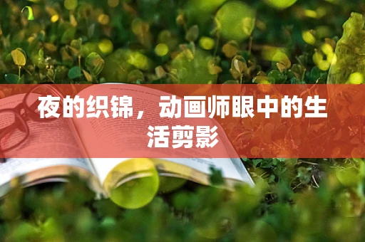 夜的织锦，动画师眼中的生活剪影