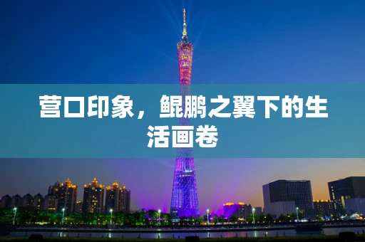 营口印象，鲲鹏之翼下的生活画卷