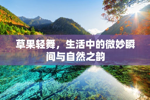 草果轻舞，生活中的微妙瞬间与自然之韵