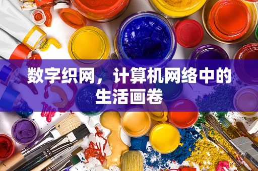 数字织网，计算机网络中的生活画卷